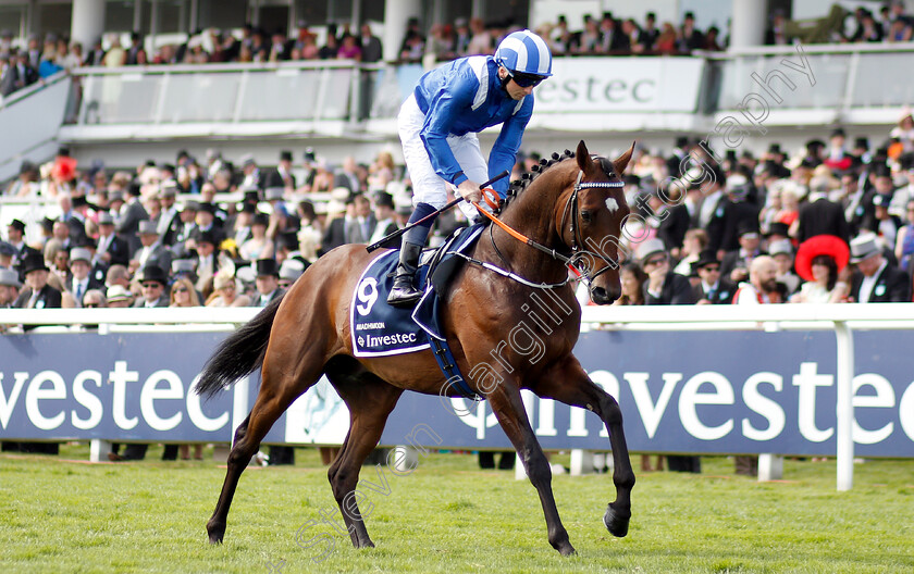 Madhmoon-0001 
 MADHMOON (Chris Hayes)
Epsom 1 Jun 2019 - Pic Steven Cargill / Racingfotos.com