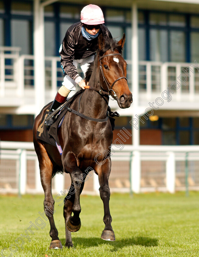 Harston-0001 
 HARSTON (Stevie Donohoe)
Nottingham 4 Nov 2020 - Pic Steven Cargill / Racingfotos.com