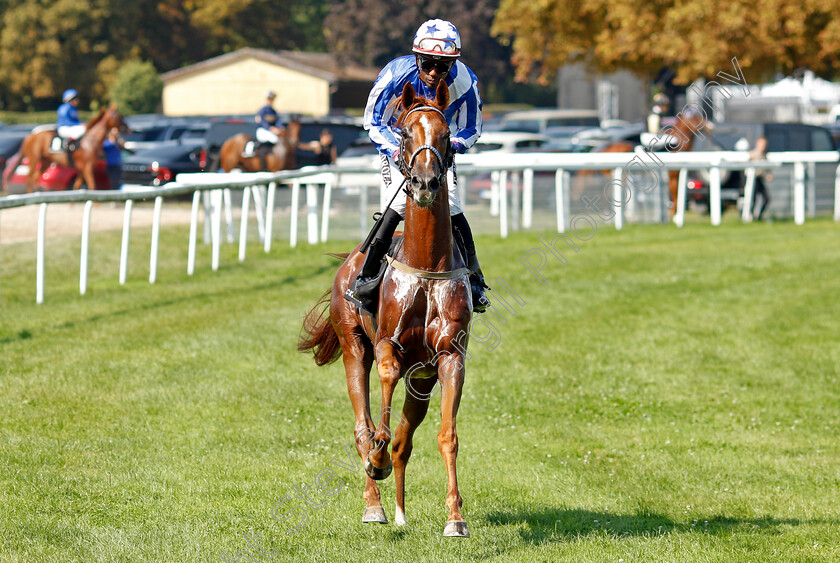 Roaa-0001 
 ROAA (Eduardo Pedroza) 
Baden Baden 31 Aug 2024 - Pic Steven Cargill / Racingfotos.com