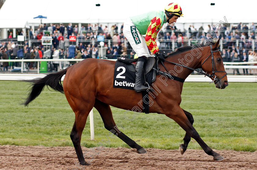 Crucial-Role-0001 
 CRUCIAL ROLE (Harry Skelton)
Aintree 5 Apr 2019 - Pic Steven Cargill / Racingfotos.com