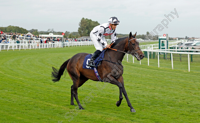 Cite-d Or-0001 
 CITE D'OR (Pierre-Louis Jamin)
Yarmouth 20 Sep 2023 - Pic Steven Cargill / Racingfotos.com