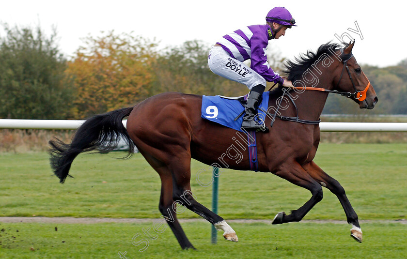 Strongarm-Chaser-0001 
 STRONGARM CHASER (Tom Marquand) Nottingham 18 Oct 2017 - Pic Steven Cargill / Racingfotos.com