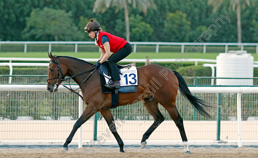 Secret-Combination-0001 
 SECRET COMBINATION training at the Dubai Racing Carnival 
Meydan 2 Jan 2025 - Pic Steven Cargill / Racingfotos.com