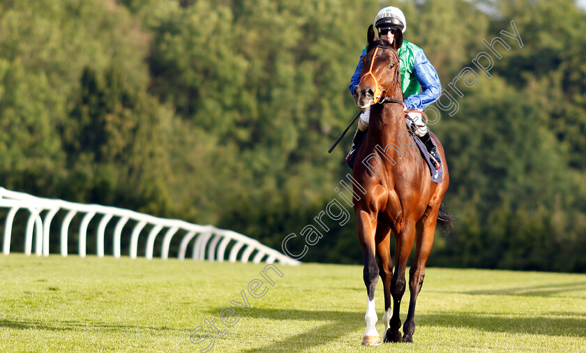 Swinley-Forest-0001 
 SWINLEY FOREST (Martin Dwyer)
Chepstow 2 Jul 2019 - Pic Steven Cargill / Racingfotos.com