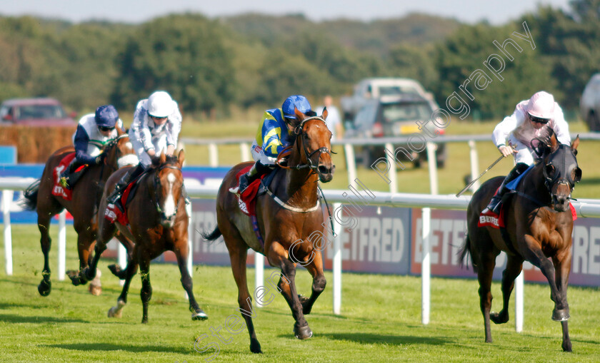 Trueshan-0009 
 TRUESHAN (Hollie Doyle) beats SWEET WILLIAM (right) in The Betfred Doncaster Cup
Doncaster 15 Sep 2023 - Pic Steven Cargill / Racingfotos.com