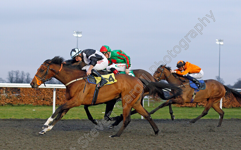 Resilience-0003 
 RESILIENCE (Tom Marquand) wins The Unibet Supporting Safe Gambling Handicap
Kempton 2 Mar 2022 - Pic Steven Cargill / Racingfotos.com