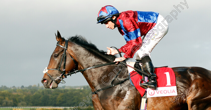 Caravan-Of-Hope-0003 
 CARAVAN OF HOPE (Ryan Moore) before The Veolia Novice Stakes
Ascot 4 Oct 2019 - Pic Steven Cargill / Racingfotos.com