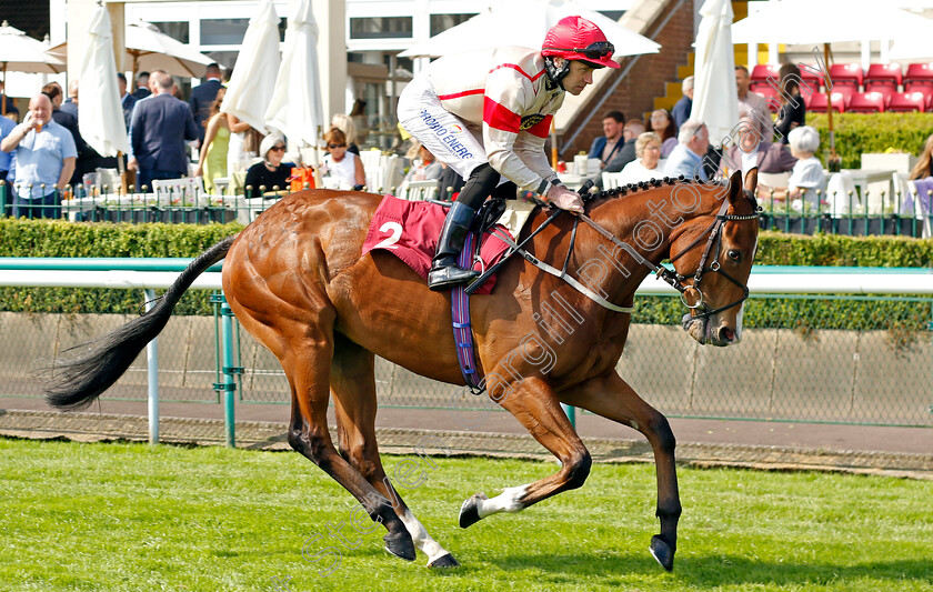 Biographer-0001 
 BIOGRAPHER (Tom Eaves)
Haydock 25 May 2024 - Pic Steven cargill / Racingfotos.com