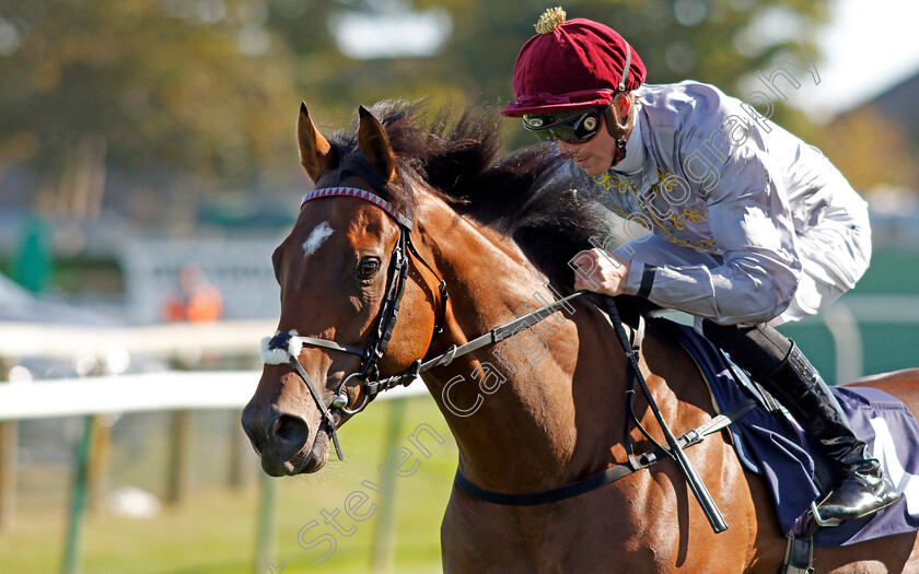 Hlaitan-0002 
 HLAITAN (James Doyle)
Yarmouth 19 Sep 2019 - Pic Steven Cargill / Racingfotos.com