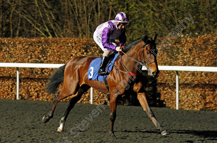 Dartington-0001 
 DARTINGTON (Martin Dwyer)
Kempton 19 Feb 2020 - Pic Steven Cargill / Racingfotos.com