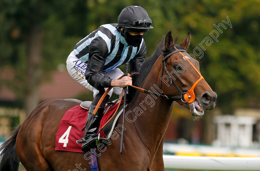 Fancy-Man-0002 
 FANCY MAN (Ryan Moore) winner of The Betfair Exchange Ascendant Stakes
Haydock 5 Sep 2020 - Pic Steven Cargill / Racingfotos.com