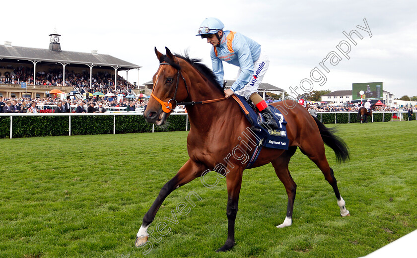 Raymond-Tusk-0001 
 RAYMOND TUSK (Andrea Atzeni)
Doncaster 15 Sep 2018 - Pic Steven Cargill / Racingfotos.com