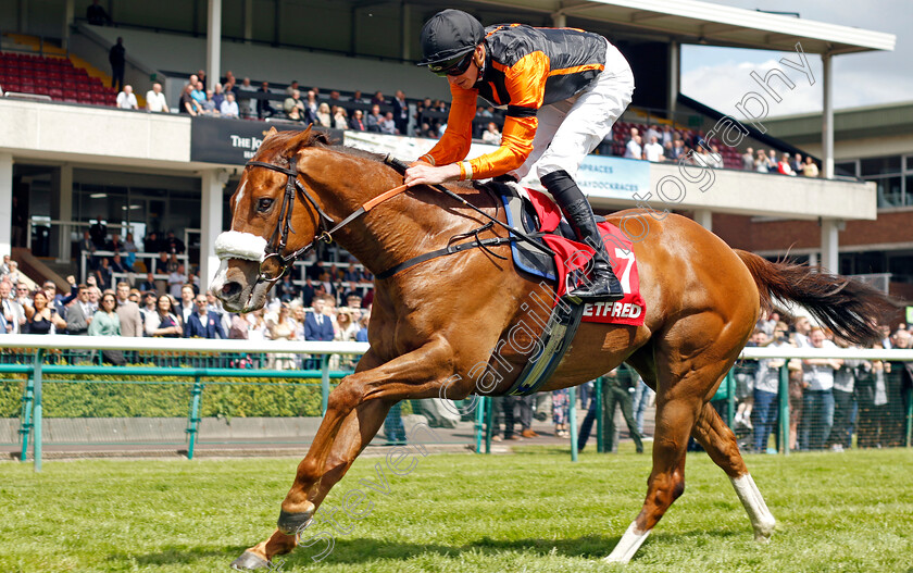 Raasel-0006 
 RAASEL (James Doyle) wins The Betfred Nifty Fifty Achilles Stakes
Haydock 28 May 2022 - Pic Steven Cargill / Racingfotos.com