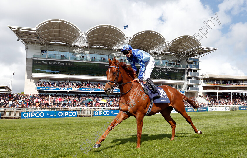 Skardu-0001 
 SKARDU (James Doyle)
Newmarket 4 May 2019 - Pic Steven Cargill / Racingfotos.com