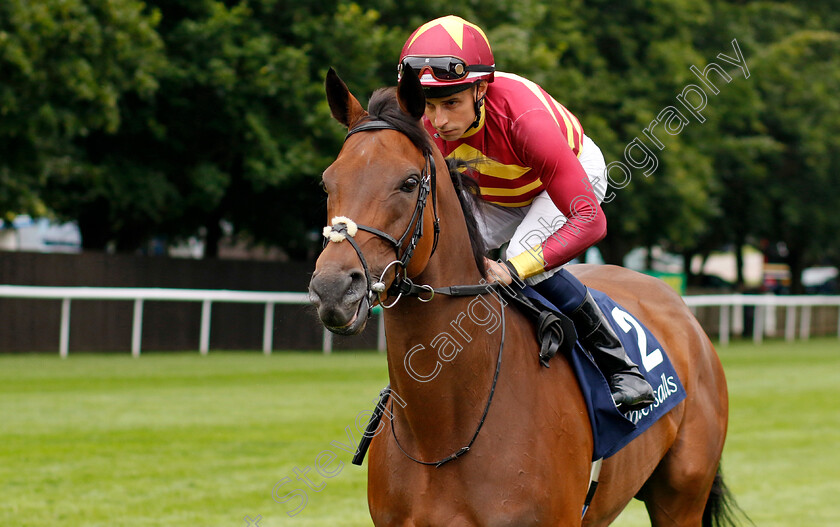 Rogue-Millennium-0001 
 ROGUE MILLENNIUM (William Buick)
Newmarket 12 Jul 2024 - Pic Steven Cargill / Racingfotos.com