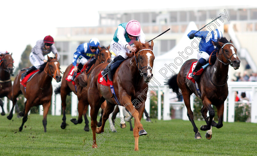 Blue-Mist-0003 
 BLUE MIST (Ryan Moore) beats KITAABAAT (right) in The Mar-Key Group Classified Stakes
Ascot 5 Oct 2018 - Pic Steven Cargill / Racingfotos.com