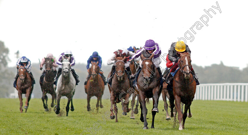 Kew-Gardens-0001 
 KEW GARDENS (2nd right, Donnacha O'Brien) beats STRADIVARIUS (right) in The Qipco British Champions Long Distance Cup
Ascot 19 Oct 2019 - Pic Steven Cargill / Racingfotos.com