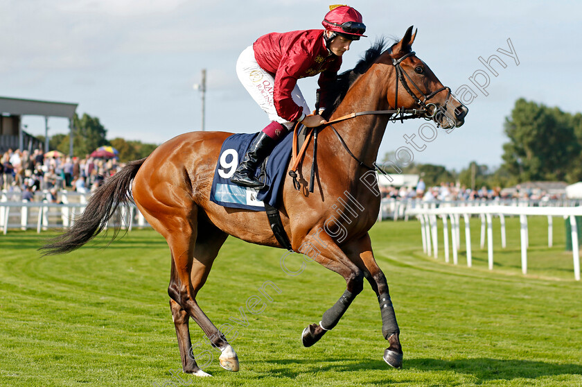 Mise-En-Scene-0001 
 MISE EN SCENE (Cieren Fallon)
Yarmouth 14 Sep 2022 - Pic Steven Cargill / Racingfotos.com