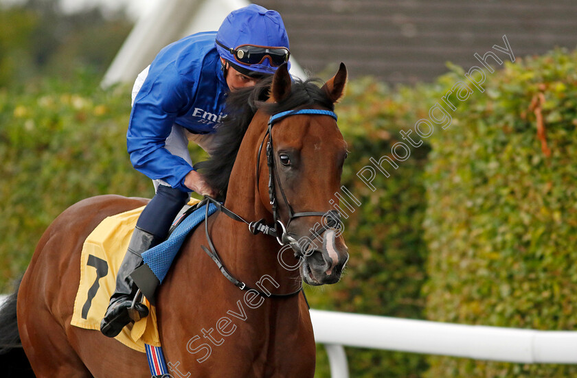 Fifth-Column-0002 
 FIFTH COLUMN (William Buick)
Kempton 7 Aug 2024 - Pic Steven Cargill / Racingfotos.com