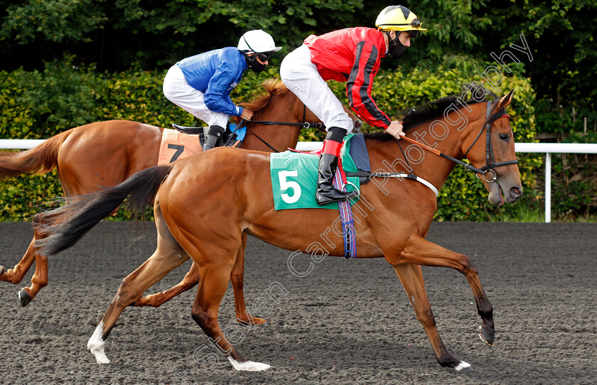 Four-Notes-0001 
 FOUR NOTES (Martin Harley)
Kempton 30 Jun 2021 - Pic Steven Cargill / Racingfotos.com