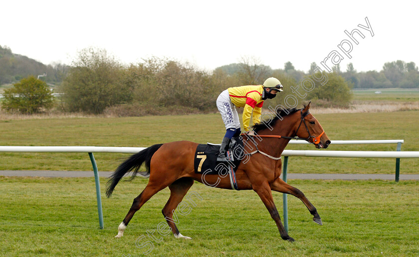 Rosa-Gold-0001 
 ROSA GOLD (David Probert)
Nottingham 27 Apr 2021 - Pic Steven Cargill / Racingfotos.com