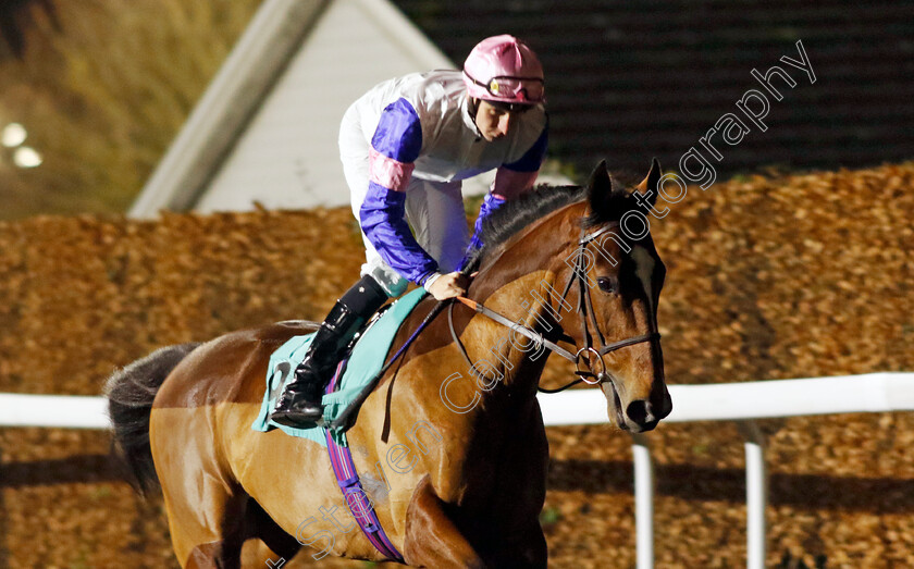 Shipshape-0001 
 SHIPSHAPE (Hector Crouch)
Kempton 4 Dec 2024 - Pic Steven Cargill / Racingfotos.com