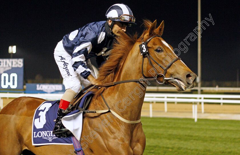 Dalanijujo 
 DALANIJUJO (Andrea Atzeni)
Meydan 4 Feb 2022 - Pic Steven Cargill / Racingfotos.com