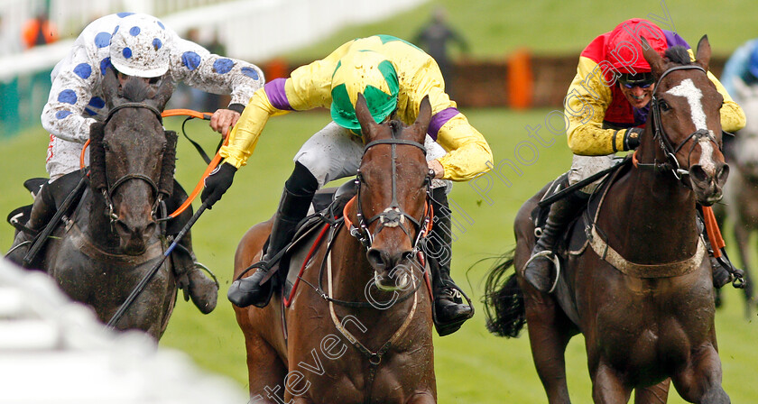 Champagne-Well-0003 
 CHAMPAGNE WELL (Paddy Brennan) wins The Ballymore Novices Hurdle
Cheltenham 25 Oct 2019 - Pic Steven Cargill / Racingfotos.com