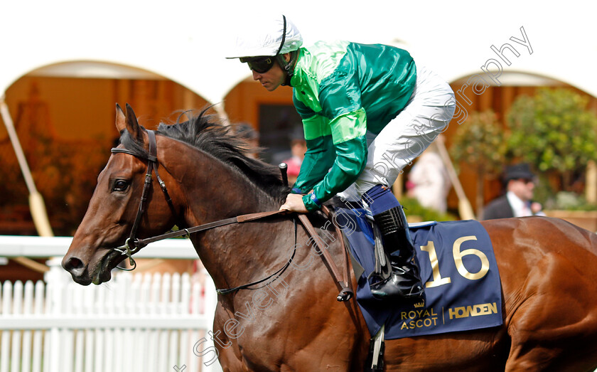 Autumn-Winter-0001 
 AUTUMN WINTER (Jim Crowley)
Royal Ascot 20 Jun 2024 - Pic Steven Cargill / Racingfotos.com