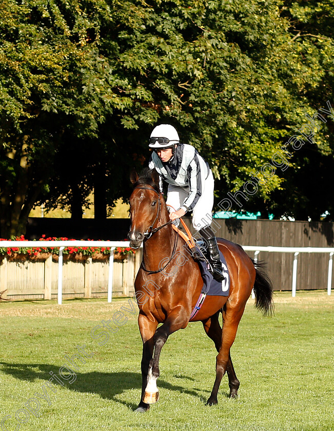 El-Picador-0001 
 EL PICADOR (Ryan Moore)
Newmarket 10 Aug 2018 - Pic Steven Cargill / Racingfotos.com