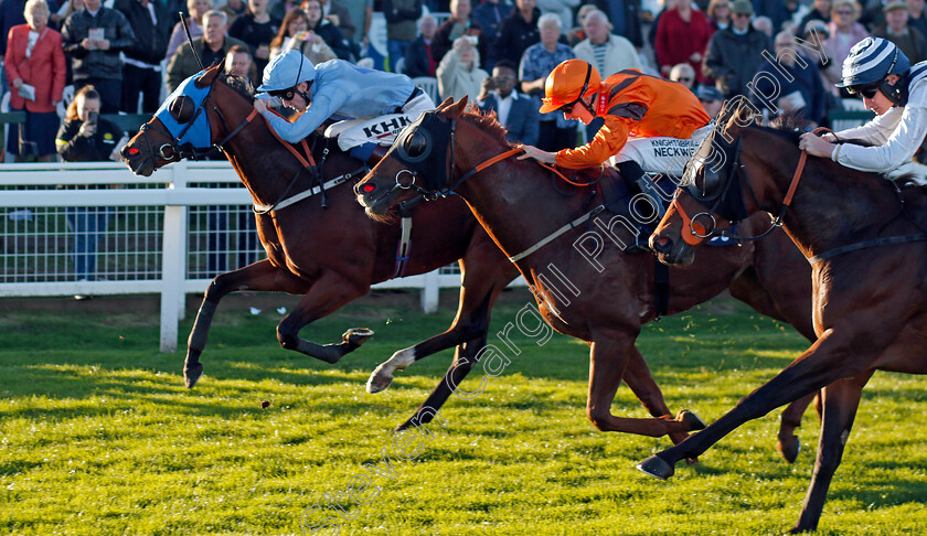 Jack-Ryan-0002 
 JACK RYAN (left, David Egan) beats PEACHEY CARNEHAN (2nd left) and MIMOSET (right) in The Seadell Shops And Holiday Chalets Handicap
Yarmouth 18 Oct 2022 - Pic Steven Cargill / Racingfotos.com