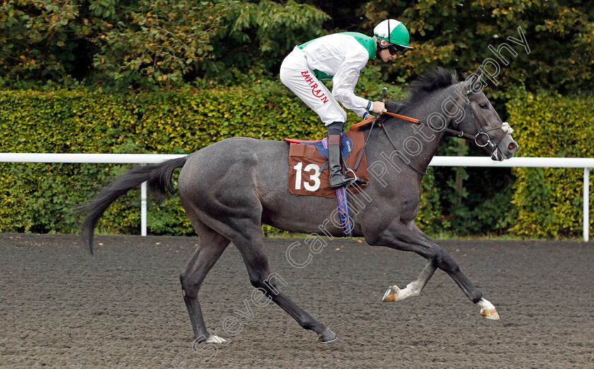 Rukaana-0001 
 RUKAANA (Robert Havlin)
Kempton 8 Sep 2023 - Pic Steven Cargill / Racingfotos.com