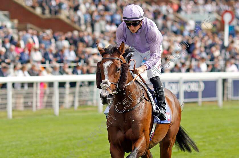 Grand-Alliance-0002 
 GRAND ALLIANCE (Tom Marquand)
York 17 Aug 2022 - Pic Steven Cargill / Racingfotos.com