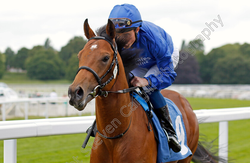 Winter-Crown-0002 
 WINTER CROWN (William Buick)
York 11 Jun 2022 - Pic Steven Cargill / Racingfotos.com