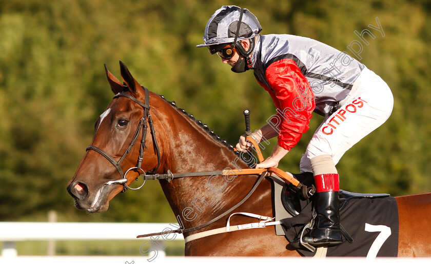 Dreams-Unwind-0002 
 DREAMS UNWIND (Franny Norton)
Chelmsford 22 Aug 2020 - Pic Steven Cargill / Racingfotos.com