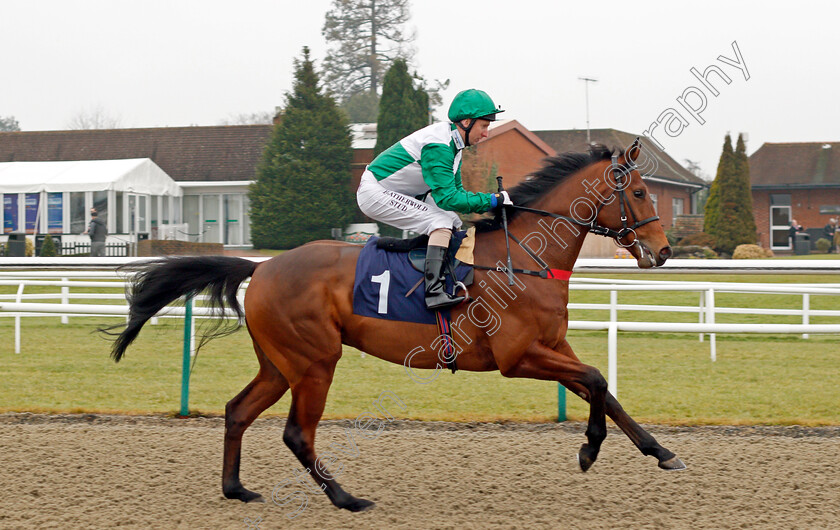 Barnay-0001 
 BARNAY (Martin Dwyer) Lingfield 20 Dec 2017 - Pic Steven Cargill / Racingfotos.com