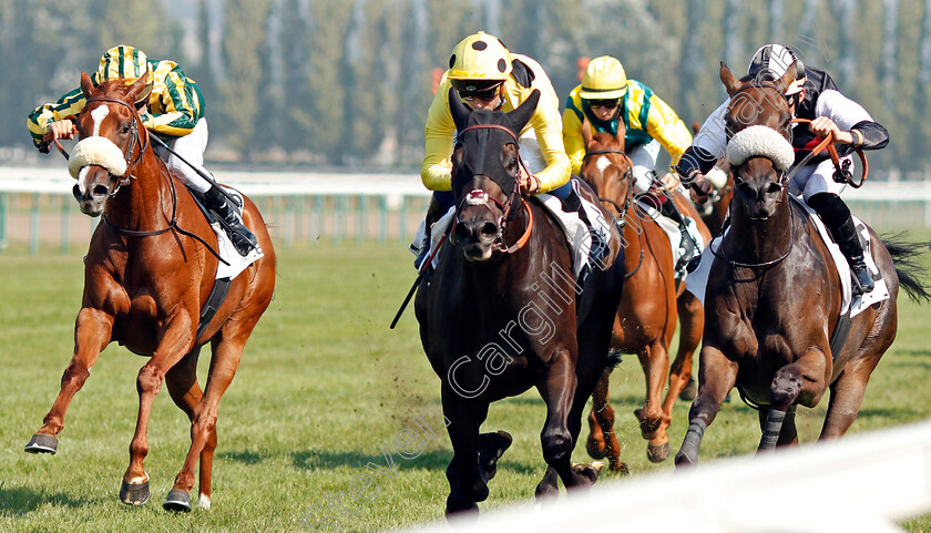 Wild-Majesty-0001 
 WILD MAJESTY (centre, Mickael Barzalona) beats NAVIDAD (right) and MADAME PANDORA (left) in The Prix Hipdromo de San Isidro
Deauville 9 Aug 2020 - Pic Steven Cargill / Racingfotos.com