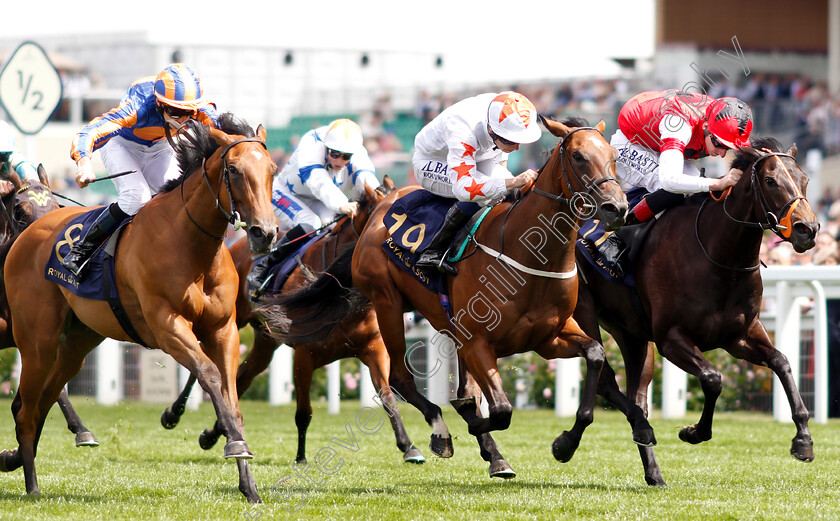 Signora-Cabello-0003 
 SIGNORA CABELLO (left, Oisin Murphy) beats GOSSAMER WINGS (left) and SHADES OF BLUE (right) in The Queen Mary Stakes
Royal Ascot 20 Jun 2018 - Pic Steven Cargill / Racingfotos.com