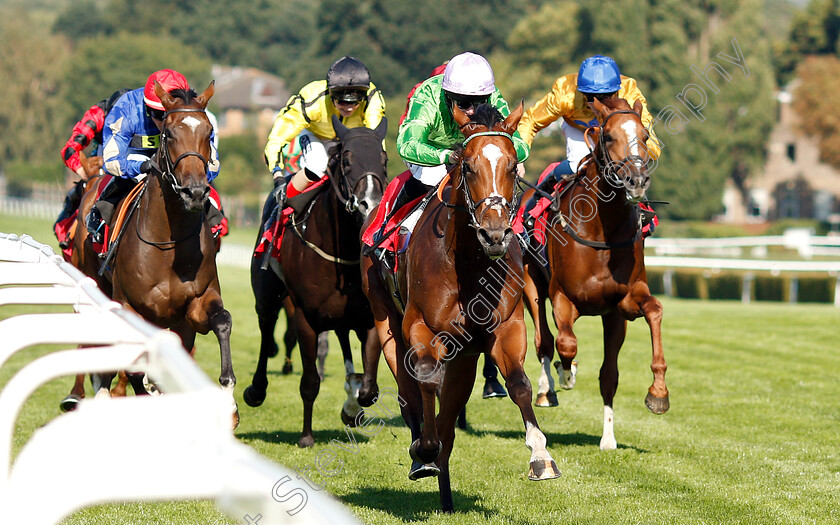 Barristan-The-Bold-0002 
 BARRISTAN THE BOLD (Richard Kingscote) wins The 188bet Supports The NSPCC Nursery
Sandown 1 Sep 2018 - Pic Steven Cargill / Racingfotos.com