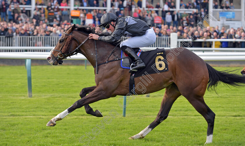 Rajmeister-0004 
 RAJMEISTER (Harry Burns) wins The British Racing Supports Stephen Lawrence Day Apprentice Handicap
Nottingham 22 Apr 2023 - pic Steven Cargill / Becky Bailey / Racingfotos.com