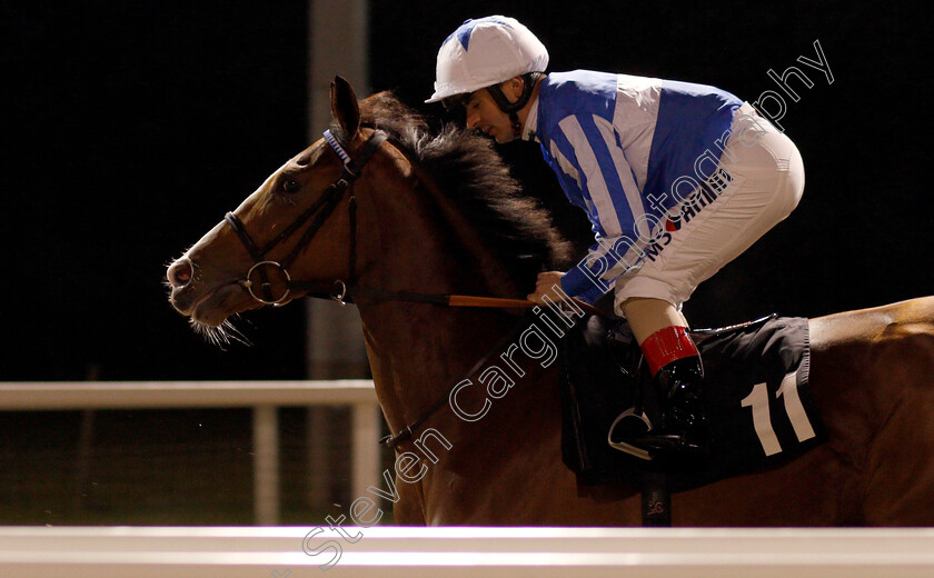 September-Power-0001 
 SEPTEMBER POWER (Andrea Atzeni)
Chelmsford 25 Nov 2019 - Pic Steven Cargill / Racingfotos.com