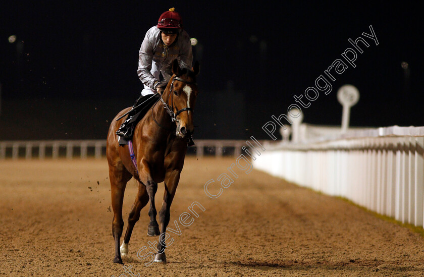 Msaikah-0001 
 MSAIKAH (Luke Morris) Chelmsford 23 Nov 2017 - Pic Steven Cargill / Racingfotos.com