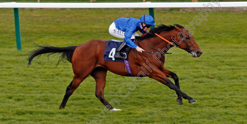 Big-Tour-0006 
 BIG TOUR (Pat Cosgrave) wins The Bombadier Beer Handicap Yarmouth 21 Sep 2017 - Pic Steven Cargill / Racingfotos.com