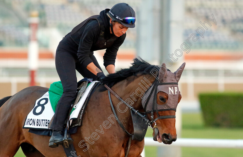 Iron-Butterfly 
 IRON BUTTERFLY training at the Dubai World Cup Carnival
Meydan 5 Jan 2023 - Pic Steven Cargill / Racingfotos.com