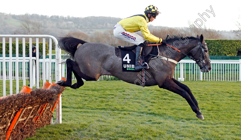 Elixir-De-Nutz-0002 
 ELIXIR DE NUTZ (Harry Cobden)
Cheltenham 14 Dec 2019 - Pic Steven Cargill / Racingfotos.com