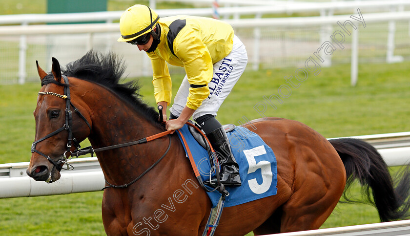 Nahaarr-0001 
 NAHAARR (Tom Marquand)
York 12 May 2021 - Pic Steven Cargill / Racingfotos.com