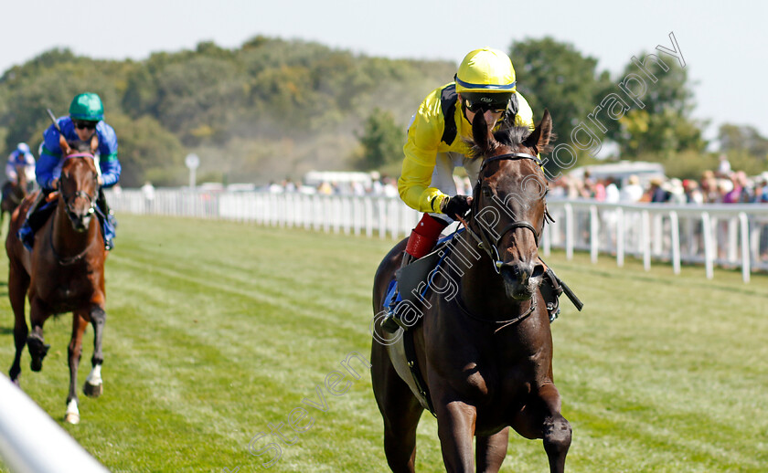 Faattik-0004 
 FAATTIK (David Egan) wins The Sorvio Insurance Brokers Novice Stakes
Salisbury 11 Aug 2022 - Pic Steven Cargill / Racingfotos.com