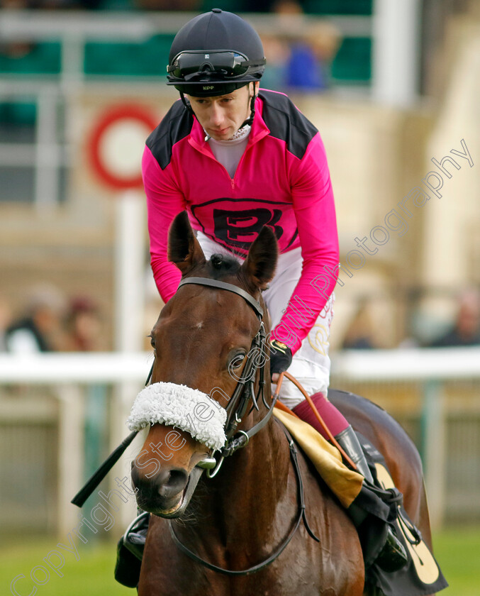 Eulace-Peacock-0002 
 EULACE PEACOCK (Oisin Murphy)
Newmarket 25 Oct 2023 - Pic Steven Cargill / Racingfotos.com