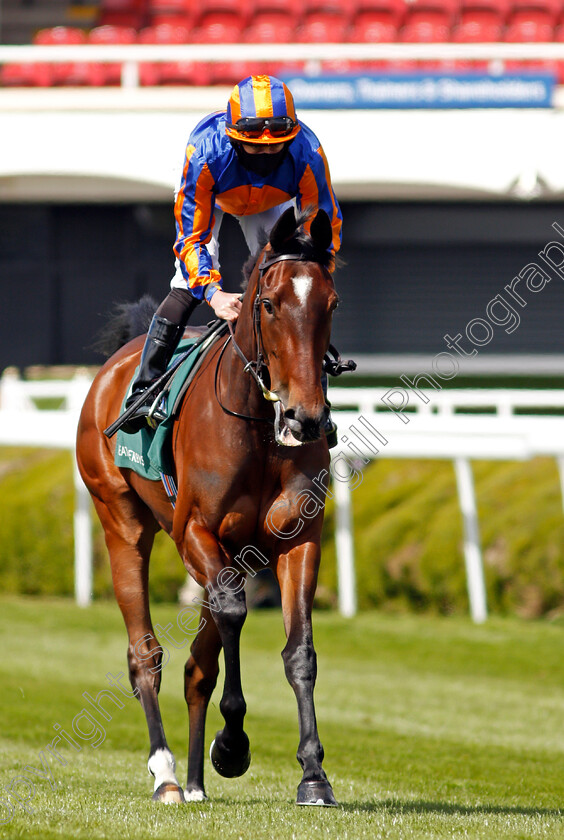 Nicest-0001 
 NICEST (Ryan Moore)
Chester 5 May 2021 - Pic Steven Cargill / Racingfotos.com