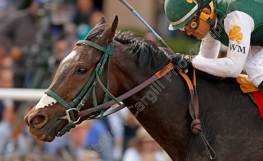 One-Fast-Broad-0001 
 ONE FAST BROAD (Corey Nakatani) wins The Golden State Juvenile Fillies at Del Mar, USA 3 Nov 2017 - Pic Steven Cargill / Racingfotos.com